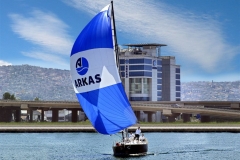 arkas_-100