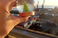 XMASSLAB2024-15