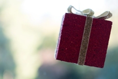 CHRISTMAS-PARTY-2017-4