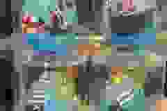 437497067_10232750178882735_465297692171071240_n
