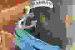 437589520_10232750179562752_4606461831014988676_n