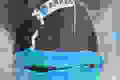 438078126_10232750179362747_8742517568268394492_n