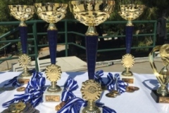 HELLENIC-COMPANY-SPORT-GAMES-2018-25