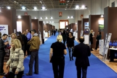 MADE-IN-GREECE-2013-9