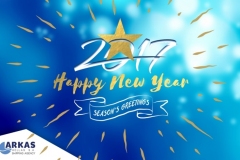 ARKASHELLAS_NEWYEAR_2017