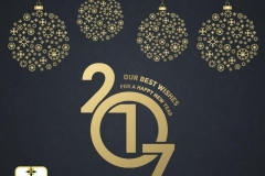 TARROSHELLAS_NEWYEAR_2017