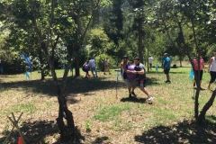 SURVIVOR_2018-20