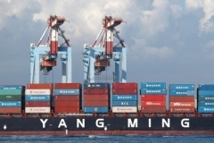 YANG-MING-LINE-1