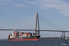 YANG-MING-LINE-10