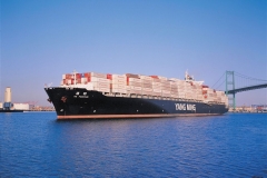 YANG-MING-LINE-11