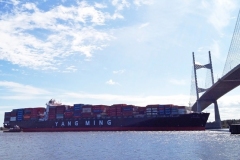 YANG-MING-LINE-15