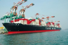 YANG-MING-LINE-18