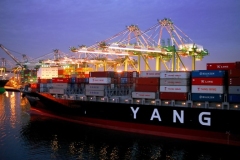 YANG-MING-LINE-2