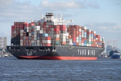 YANG-MING-LINE-3