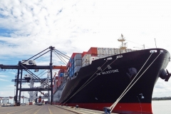 YANG-MING-LINE-4