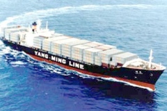 YANG-MING-LINE-7